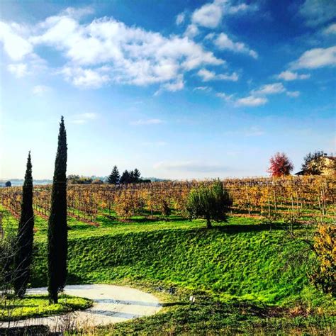 Venise Visite Des Vignobles Des Collines Du Prosecco Avec