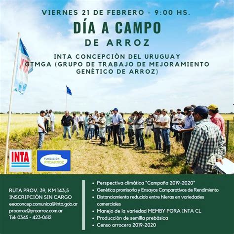 Dia De Campo De Arroz Aianer Asoc Ingenieros Agronomos Del Ne