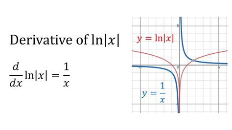 Derivative Of Natural Logarithm Of Absolute Value Youtube