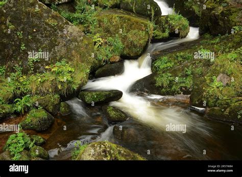 Triberg Waterfall In The Black Forest Stock Photo Alamy