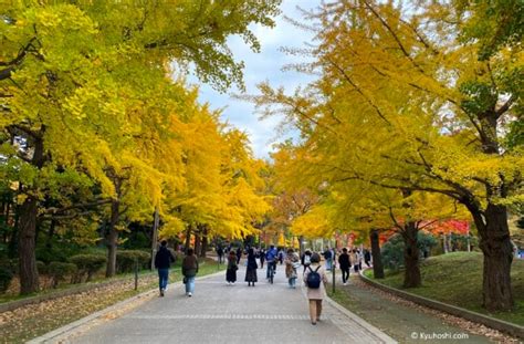 Autumn Leaves in Nikko 2024 | Visit Tochigi | Kyuhoshi