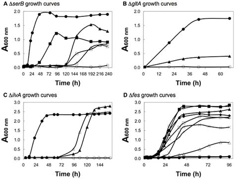 Growth of auxotrophic strains of E. coli in selective liquid media. In... | Download Scientific ...