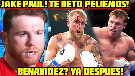 Canelo Reta A Jake Paul A Pelear Se Olvida De David Benavidez Y