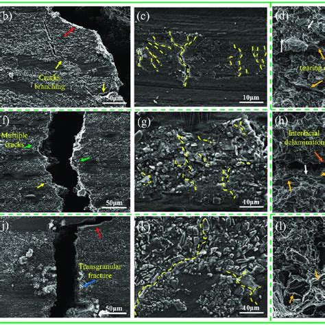 A D Show The Crack Expansion Path Local Microcrack And Fracture