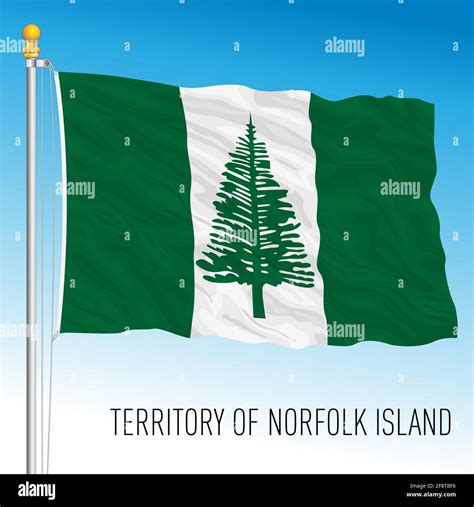 Norfolk island australia pine tree Stock Vector Images - Alamy