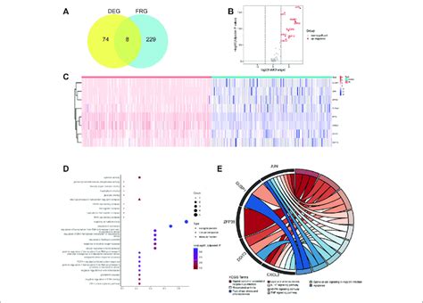 Differential Expression Analysis And Functional Enrichment Analysis