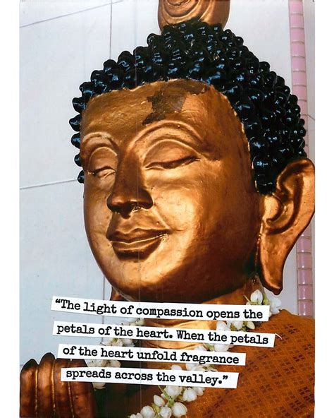 Buddha mindful & spiritual quotes | Happy quotes inspirational, Buddha ...