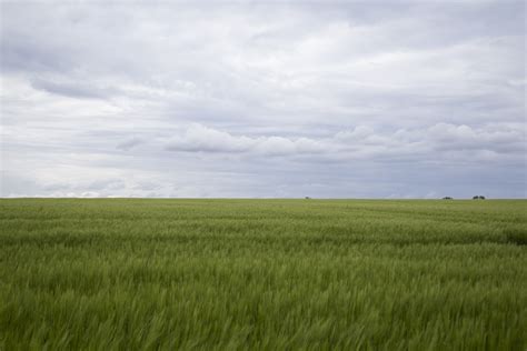 Fotos Gratis Paisaje Naturaleza Césped Horizonte Pantano Ligero