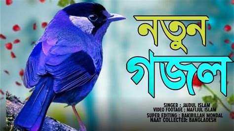 হৃদয় ছুঁয়ে যাওয়া নতুন গজল । যার নূরে আলোকিত বিশ্ব জাহান । নবীর শানে