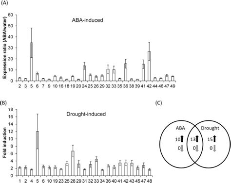 Genome Wide Identification Of Calcium Dependent Protein Kinases In