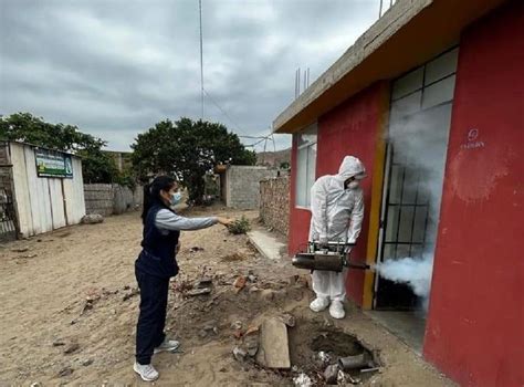 La Libertad Dengue Afecta A 709 Escolares Y Pone En Riesgo Clases