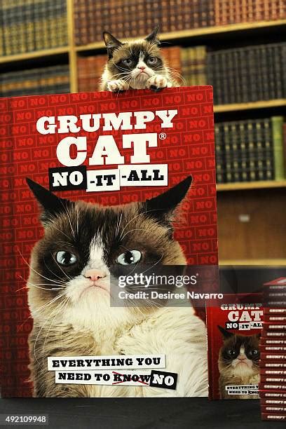 Grumpy Cat A Grumpy Book Photos And Premium High Res Pictures Getty