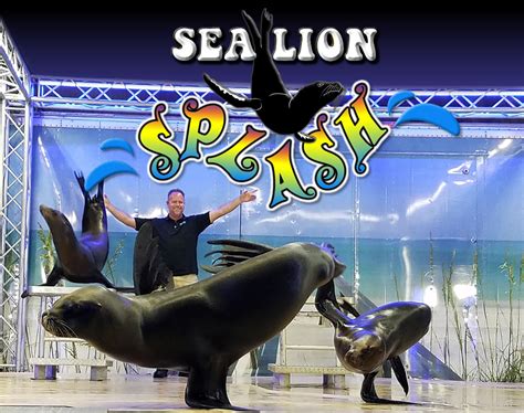 Sea Lion Splash Show