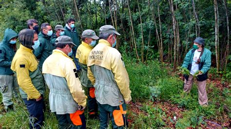 Ação de formação de Gestão e controlo de plantas invasoras LIFE