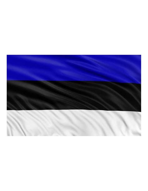 Bandera de la República de Estonia Actual en Raso de Alta Calidad