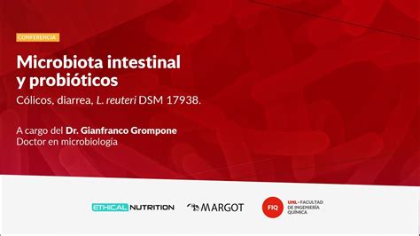 Conferencia Microbiota Intestinal Y Probi Ticos Youtube