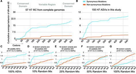 Selection Pressure Analysis Of Flic Genes The Curves In Blue And Red