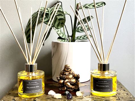 Reed Diffuser Making Kit At Rogelio Hess Blog