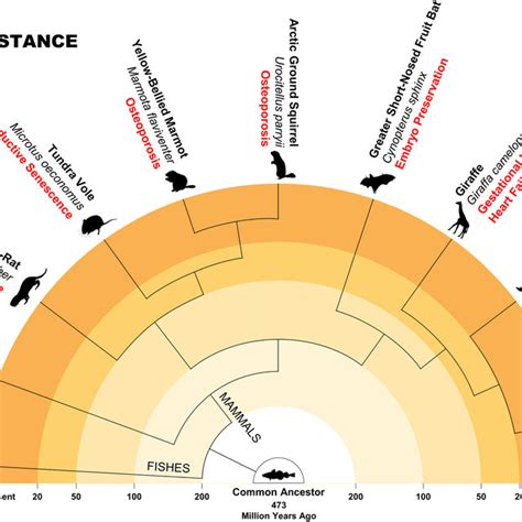 Bioinspired Medicine And Women S Health Evolved Physiologic