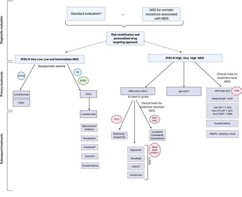 Precision Management Of Mds In The Era Of Genomics And New Tailored