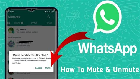 How To Mute And Unmute Whatsapp Status Whatsapp Status Mute Unmute