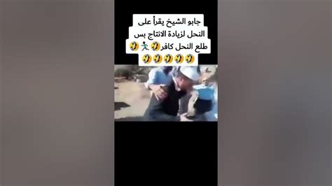 جابو الشيخ يقرأ على النحل طلع النحل كافر و بيقرص 😂 Youtube