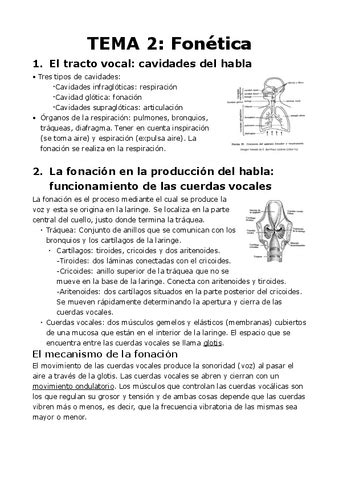 Fonetica Y Fonologia Tema 2 Pdf