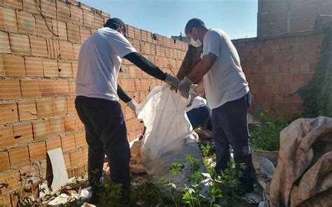 Mutirões De Combate à Dengue Já Recolheram 46 Toneladas De Lixo Em