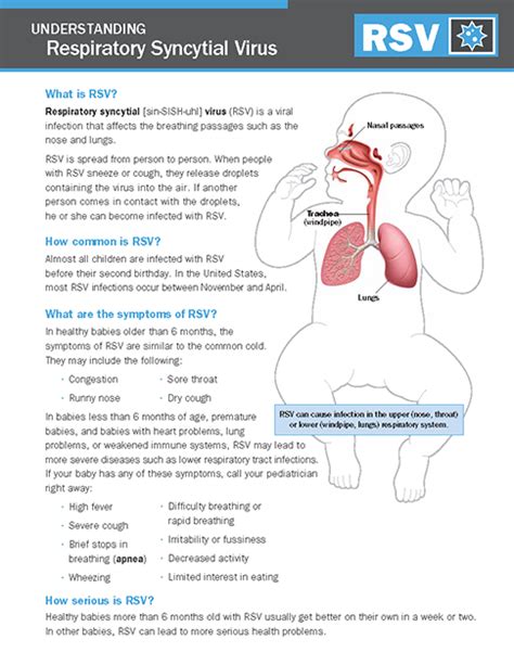 Respiratory Syncytial Virus Rsv Nicu Parent Education Resources