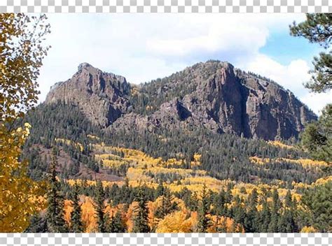 Tropical And Subtropical Coniferous Forests Geology Cliff National Park