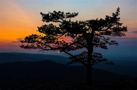 Sunset at Ravens Roost Photograph by Greg Reed