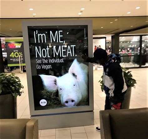 PETA Ads Remind Folks to Keep Compassion on Their Holiday Shopping Lists | PETA