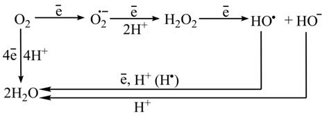 Reduction Of Molecular Oxygen Via Four And One Electron Schemes