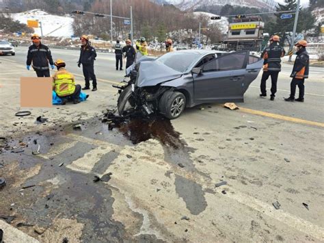 정선서 승용차 가드레일 충돌2명 사망·3명 중상 서울신문