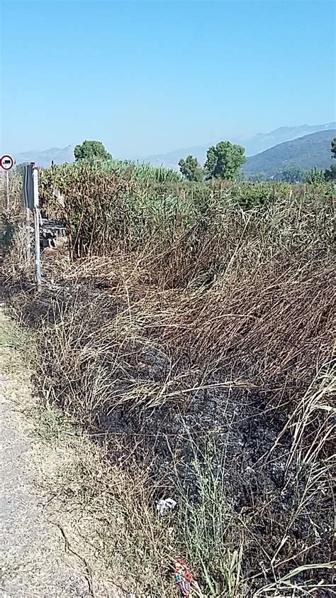 Pontinia Ecologia E Territorio Via Lungo Ufente Adiacente Zona Sic