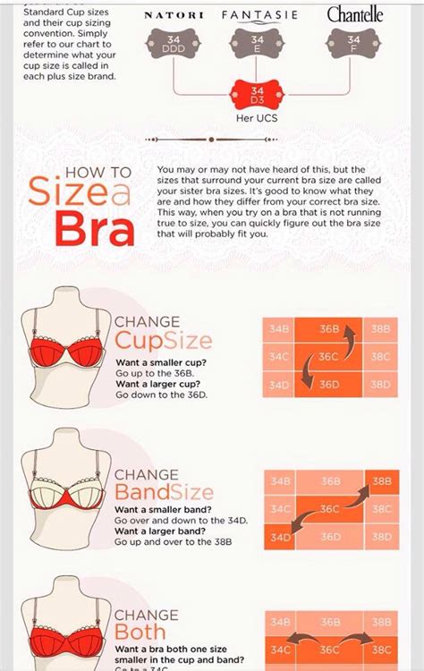 Finding Your Correct Bra Size It Makes All The Difference Musely