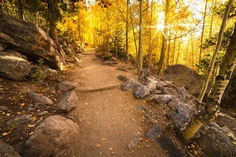 Beautiful Colorado Fall Foliage Near Estes Park Fall River Village