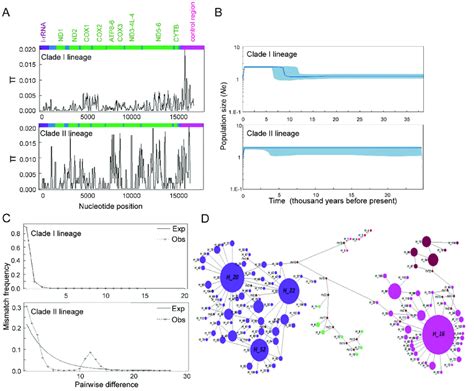 Population characteristics between Clade I and Clade II lineages A:... | Download Scientific Diagram