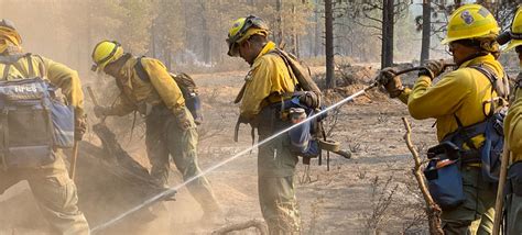 Joint Task Force Rattlesnake Support Detachment California State Guard