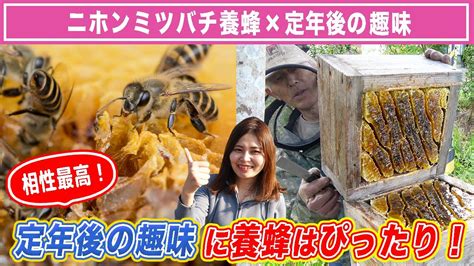 【ミツバチ×シニア男性】ニホンミツバチの養蜂は定年後の趣味にぴったり！ Youtube