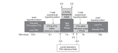 Normal Thyroid Antibody Levels Leading Authority In Naturopathic Endocrinology