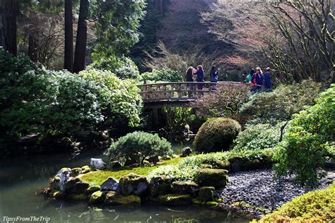 Portland Japanese Garden in Winter | Tipsy from the TRIP