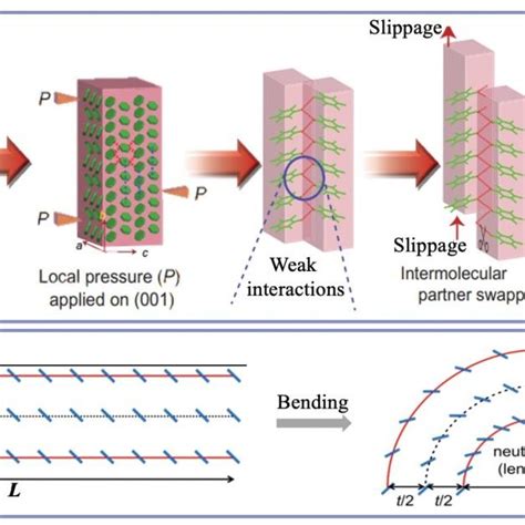 Mechanisms Of Plastic Bending And Elastic Bending In Single Crystals