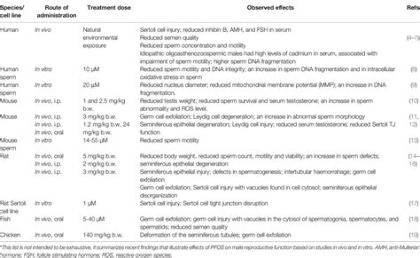 Frontiers Signaling Proteins That Regulate Spermatogenesis Are The