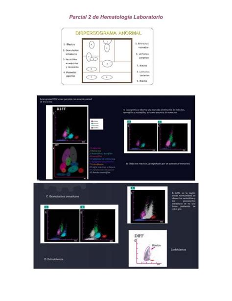 Parcial 2 de Hematología Laboratorio MEDilove uDocz