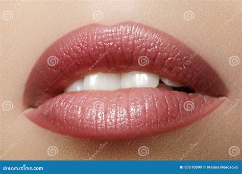 Maquillaje Natural Perfecto Del Labio Del Primer Labios Llenos