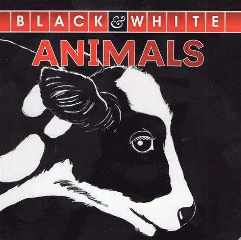 Animals ( Black and White ) (Board Book)