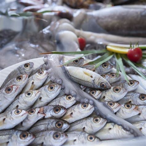 Bogue Fish Also Known As Boops Boops With Rockets Leaves Served On