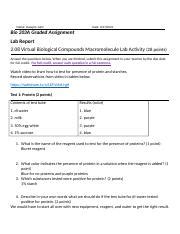 Bio Unit 2 08 Investigating Biological Compounds Macromolecule Lab 2020