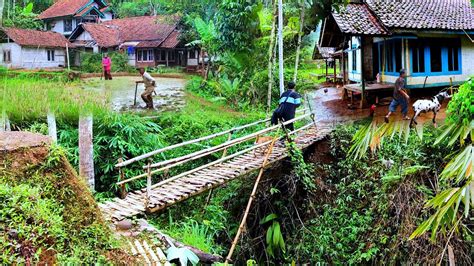 Bikin Betah Suasana Damai Di Desa Tentram Hidup Di Kampung Terpencil